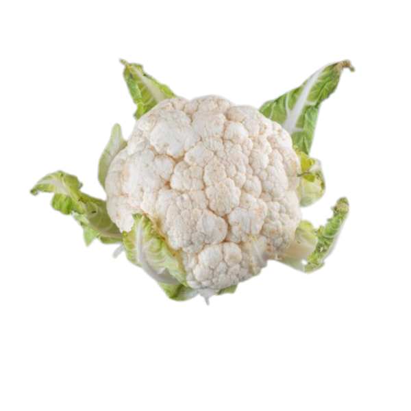 Cauliflower Clean White Dubai | Fresh Premium White Cauliflower Supplier