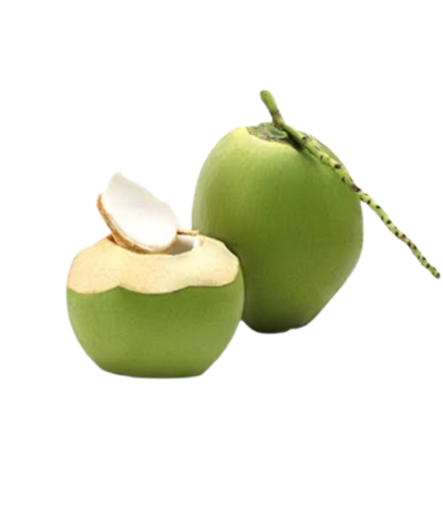 Vietnam Coconut
