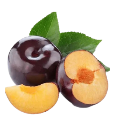 Plums Black & Red
