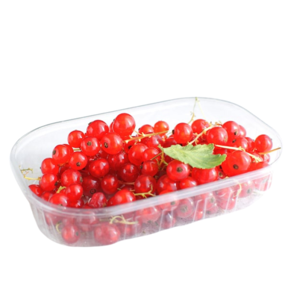 Red Currant Pack