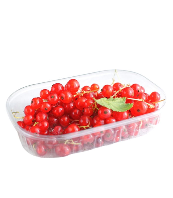 Red Currant Pack Red Currant Pack