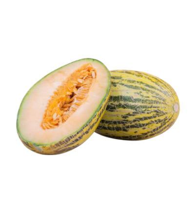 Rock Melon