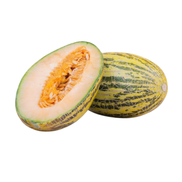 Rock Melon