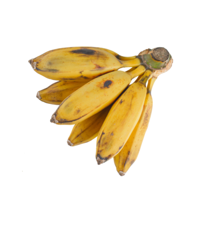 Saba Banana