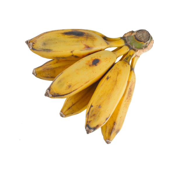 Saba Banana