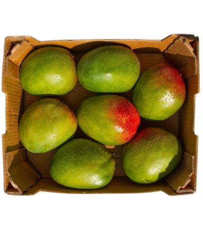 Fresh Mango Box