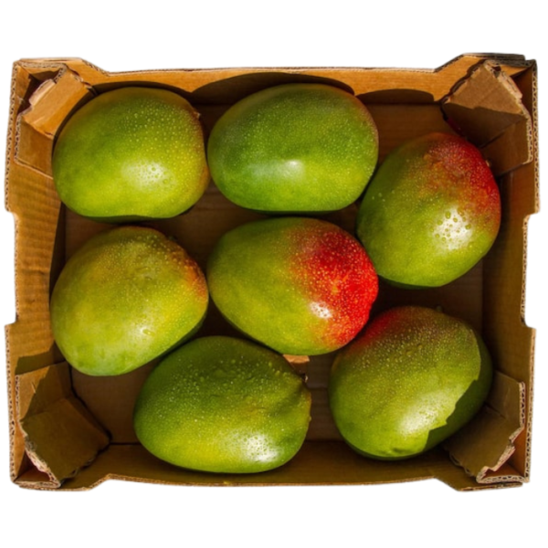 Fresh Mango Box