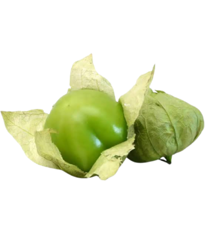 TOMATILLO FRESH HOLLAND