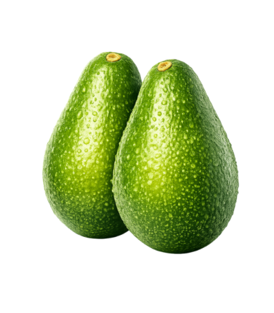 Avocado Fuerte Kenya