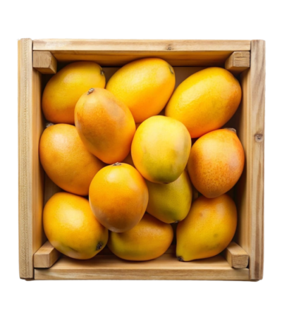 Baby Mango Dubai