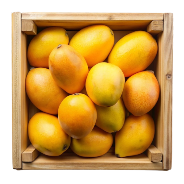 Baby Mango Dubai