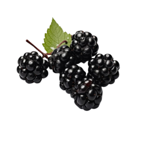 Berries Blackberry