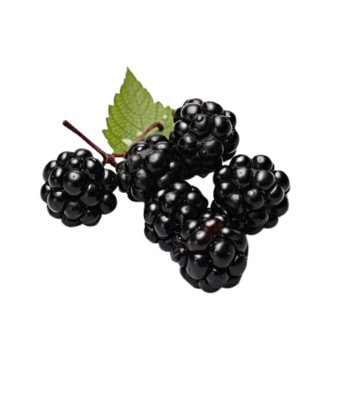 Untitled design (36) Berries Blackberry - Image 1