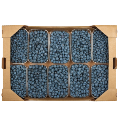 Berries Blueberry