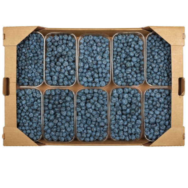 Berries Blueberry