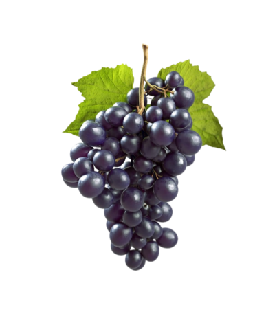 Black Grapes