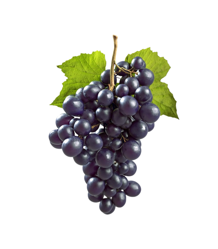 Black Grapes Black Grapes