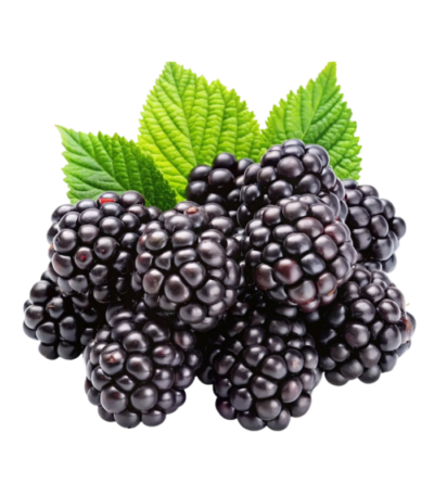 Blackberry Dubai
