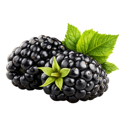 Blackberry Africa