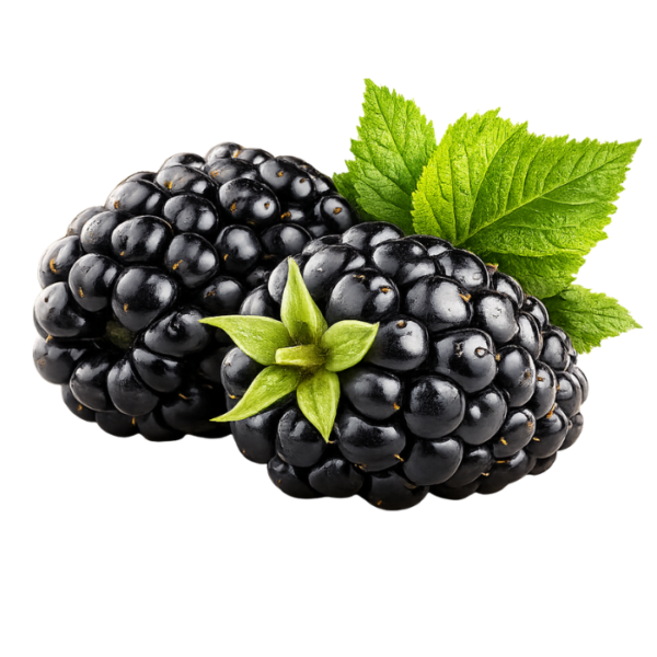 Blackberry Africa