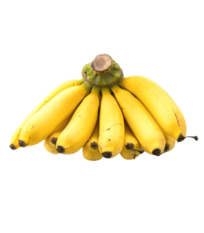 Chiquita Banana