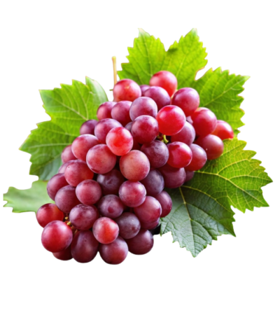 Red Grapes