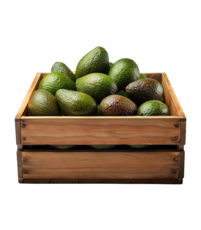 Kenya Avocado Box