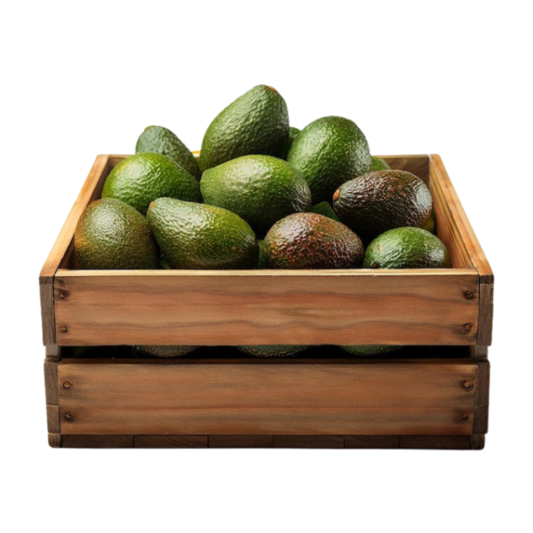 Kenya Avocado Box