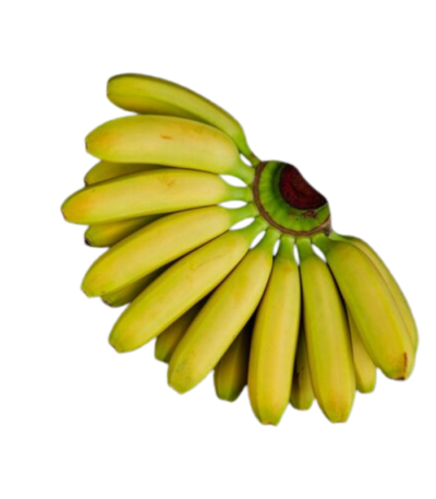 Kerala Small Banana