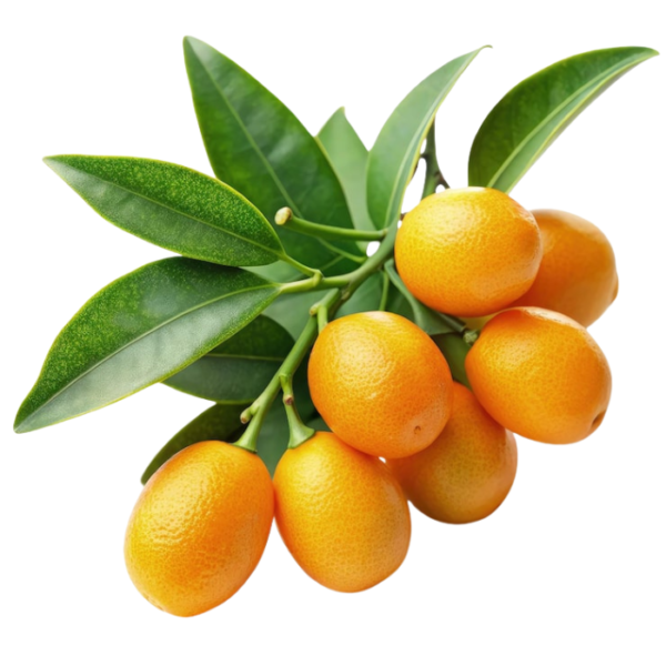 Kumquats