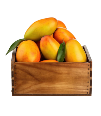 Brazil Mango