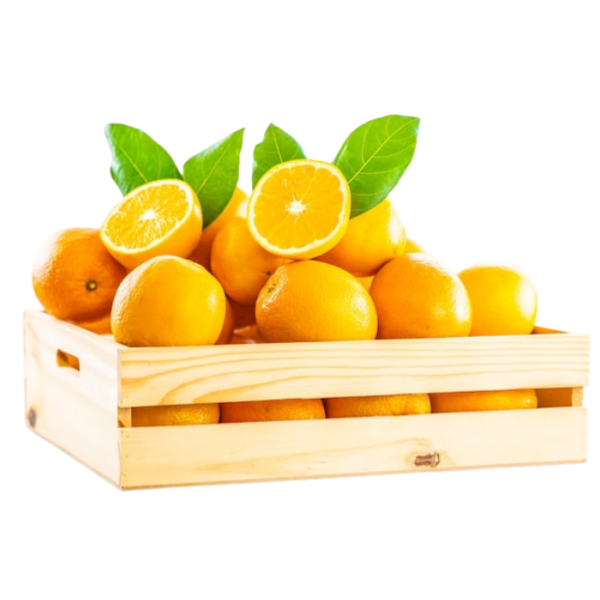 Navel Orange