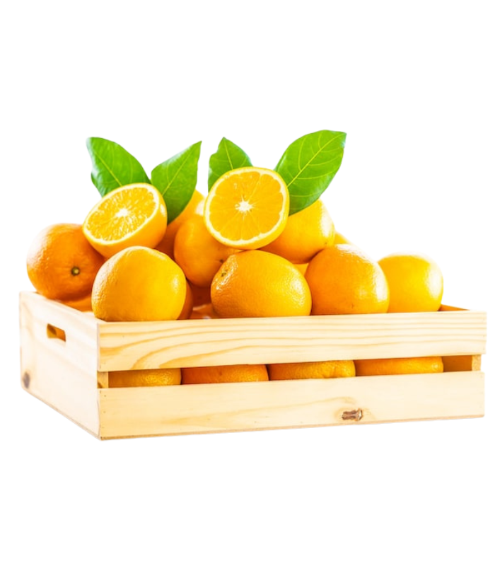 Navel Orange Navel Orange
