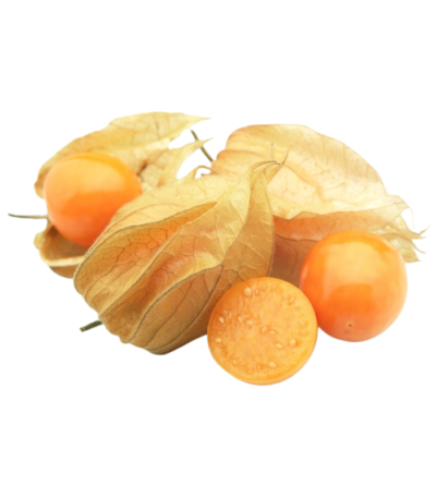 Physalis