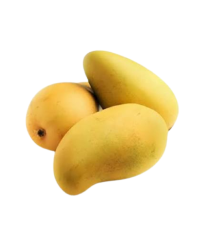 Pakistani Sindhri Mango