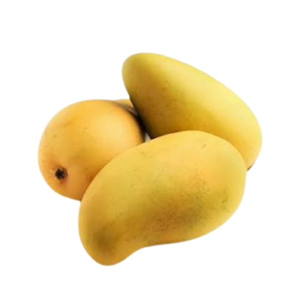 Pakistani Sindhri Mango