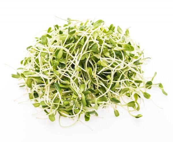 Micro Broccoli Cress