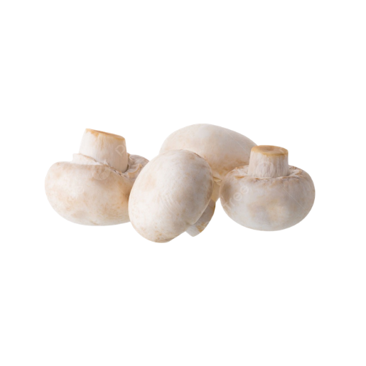 Untitled design (16) MUSHROOM BUTTON WHITE - Image 1