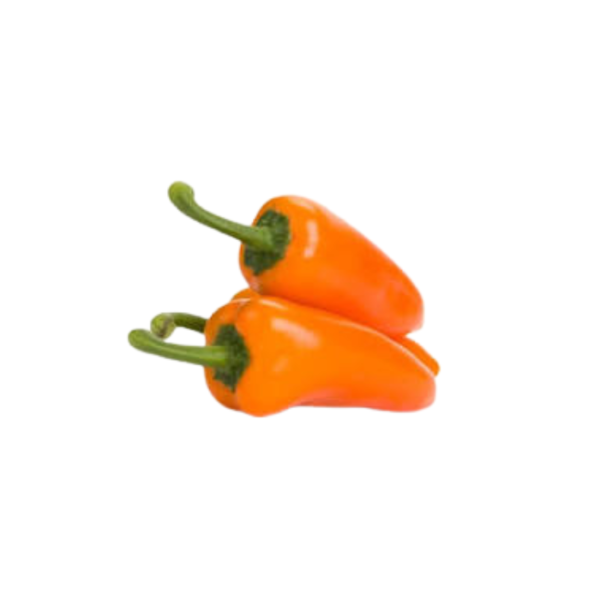 Baby Capsicum Orange – Fresh Mini Sweet Pepper Dubai