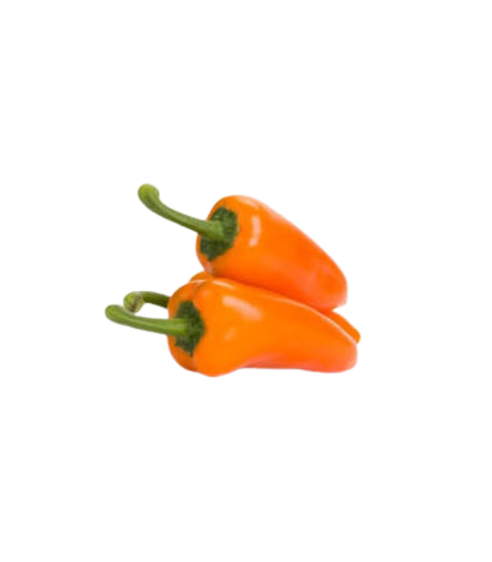 Untitled design - 2026-08-02T213343.974 Baby Capsicum Orange – Fresh Mini Sweet Pepper Dubai - Image 1