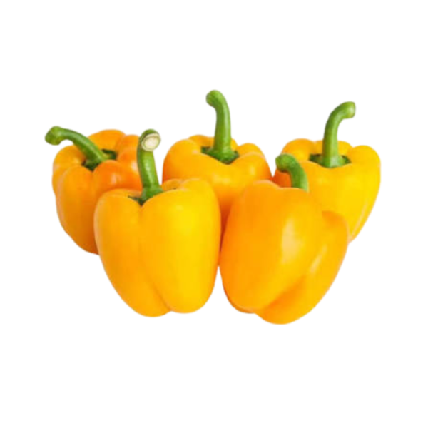 Baby Capsicum Yellow – Fresh Mini Sweet Pepper Dubai