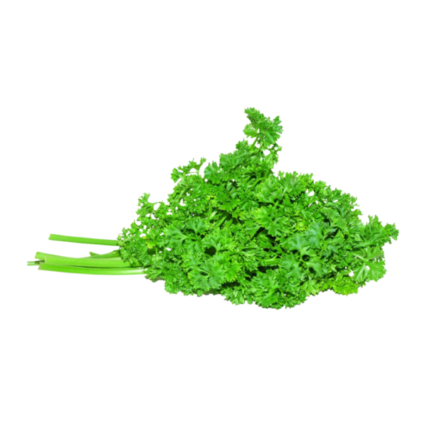 English Parsley Herbs Dubai