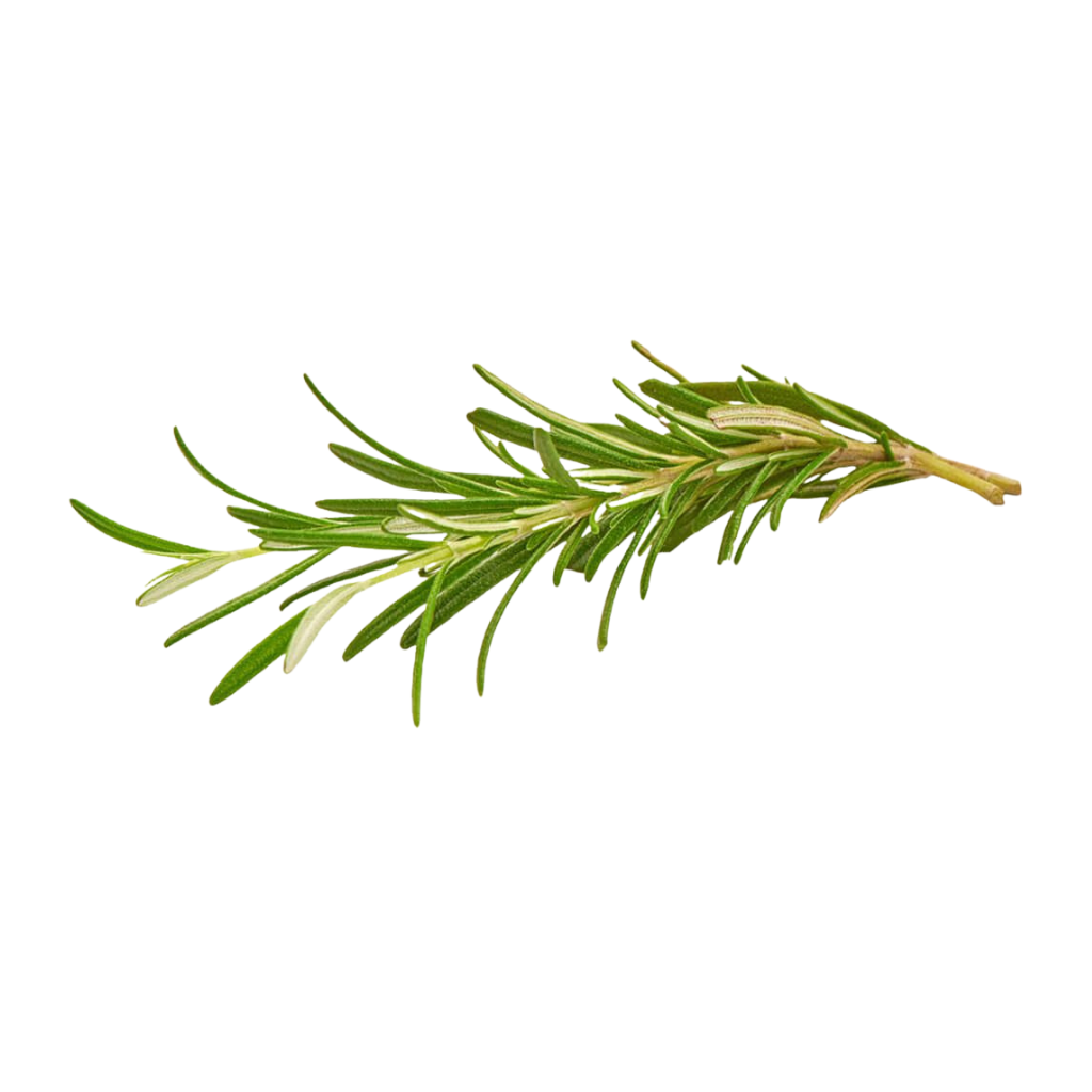 Untitled design - 2026-08-03T110139.154 Fresh Rosemary Dubai - Image 1