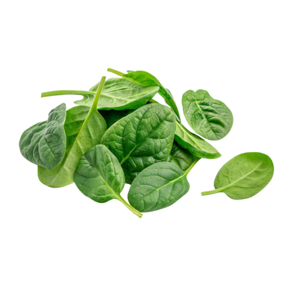 Herbs baby spinach