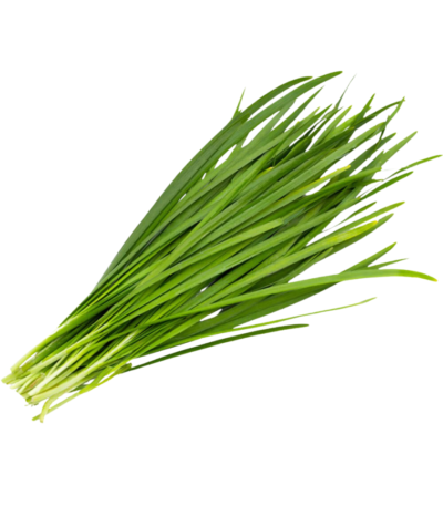 Herbs chives