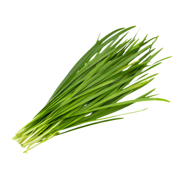 Herbs chives