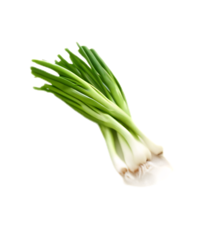 Spring Onion