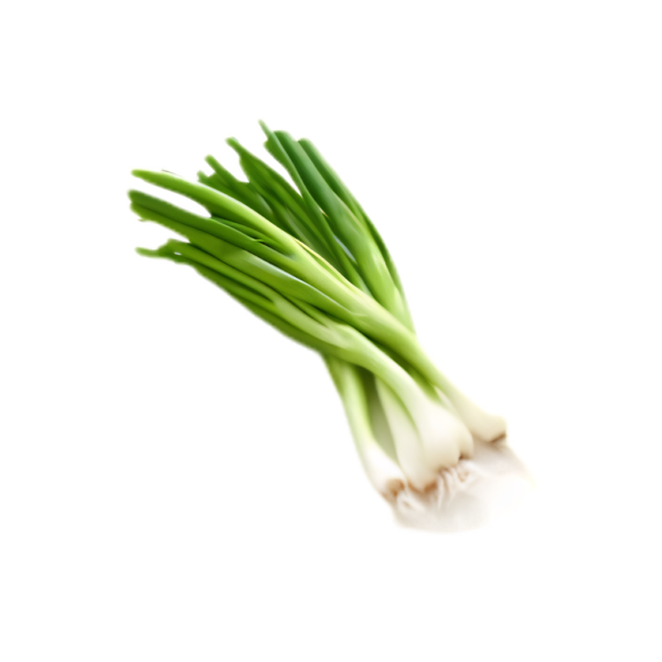 Spring Onion