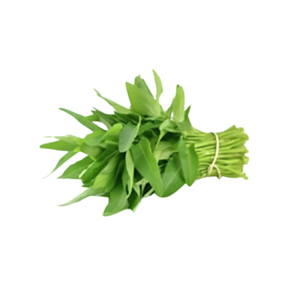Kangkong Dubai