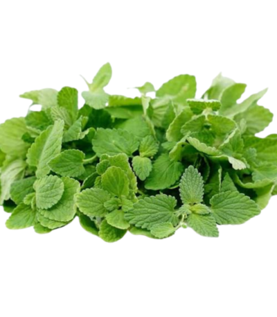 Micro Mint Cress